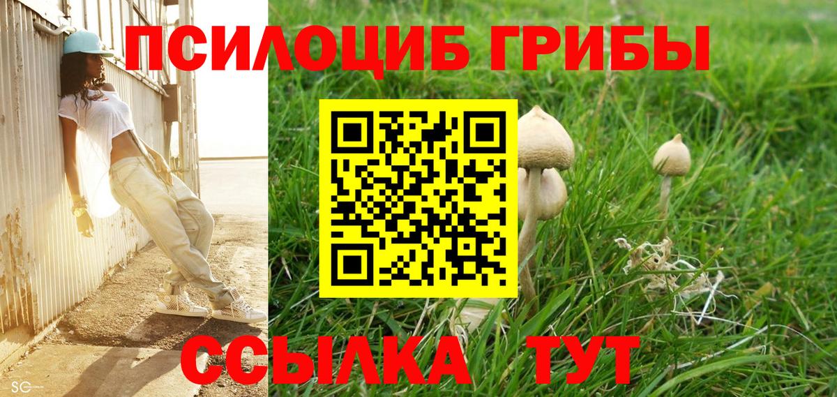 Псилоцибиновые грибы GOLDEN TEACHER Кандалакша
