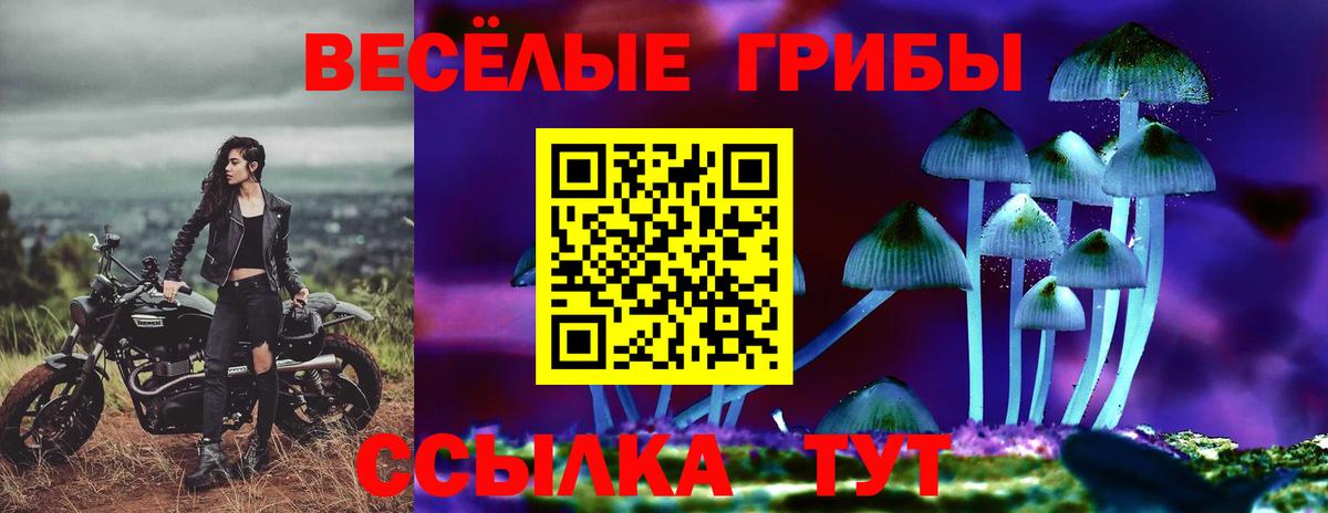 Кандалакша  продажа наркотиков  Псилоцибиновые грибы прущие грибы  Вход с VPN  Галлюциногенные грибы Cubensis 